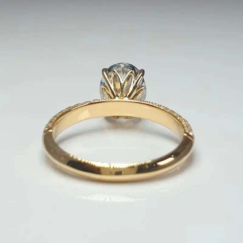 /public/photos/live/145 (1).webp